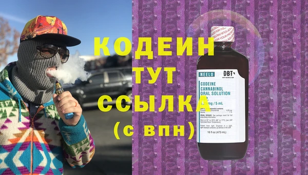 молекула духа Няндома