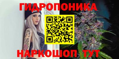 мдпв Ирбит