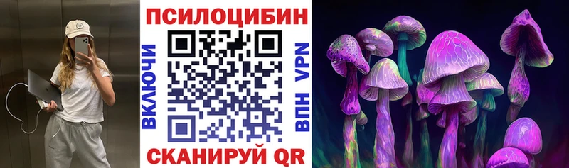 Псилоцибиновые грибы мухоморы  KRAKEN рабочий сайт  мориарти как зайти  Ливны 
